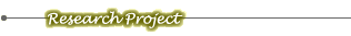 Research Project