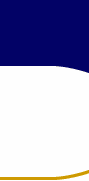 Logo Animation